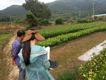 浙江省检科院来我司检测