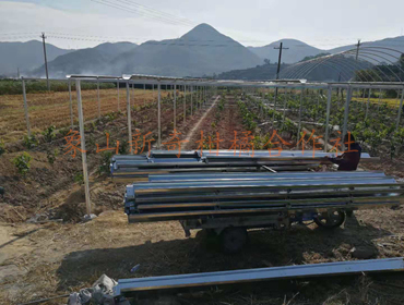 象山新奇开工建设红美人新大棚